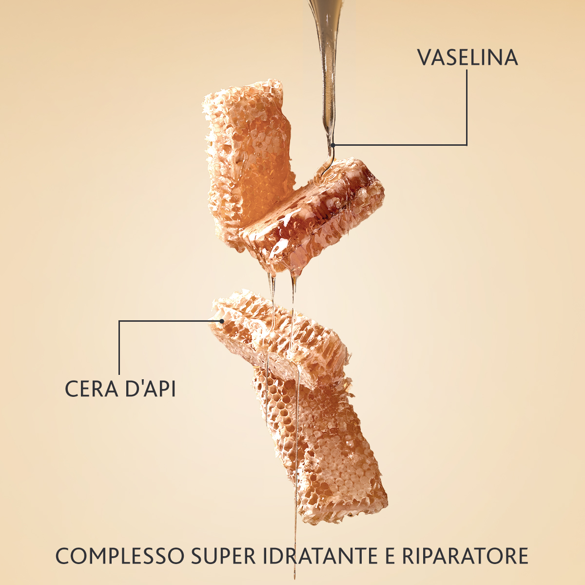Immagine piccola in alto